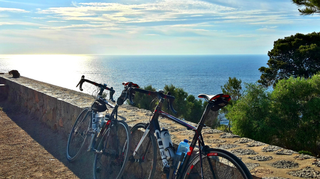 Cycling in Alcudia or Playa de Muro – Bike holidays in the NE of Mallorca