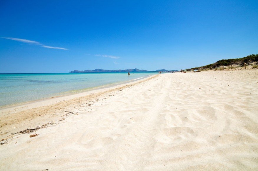 pdm Mallorca Airport Transfers to Playa de Muro